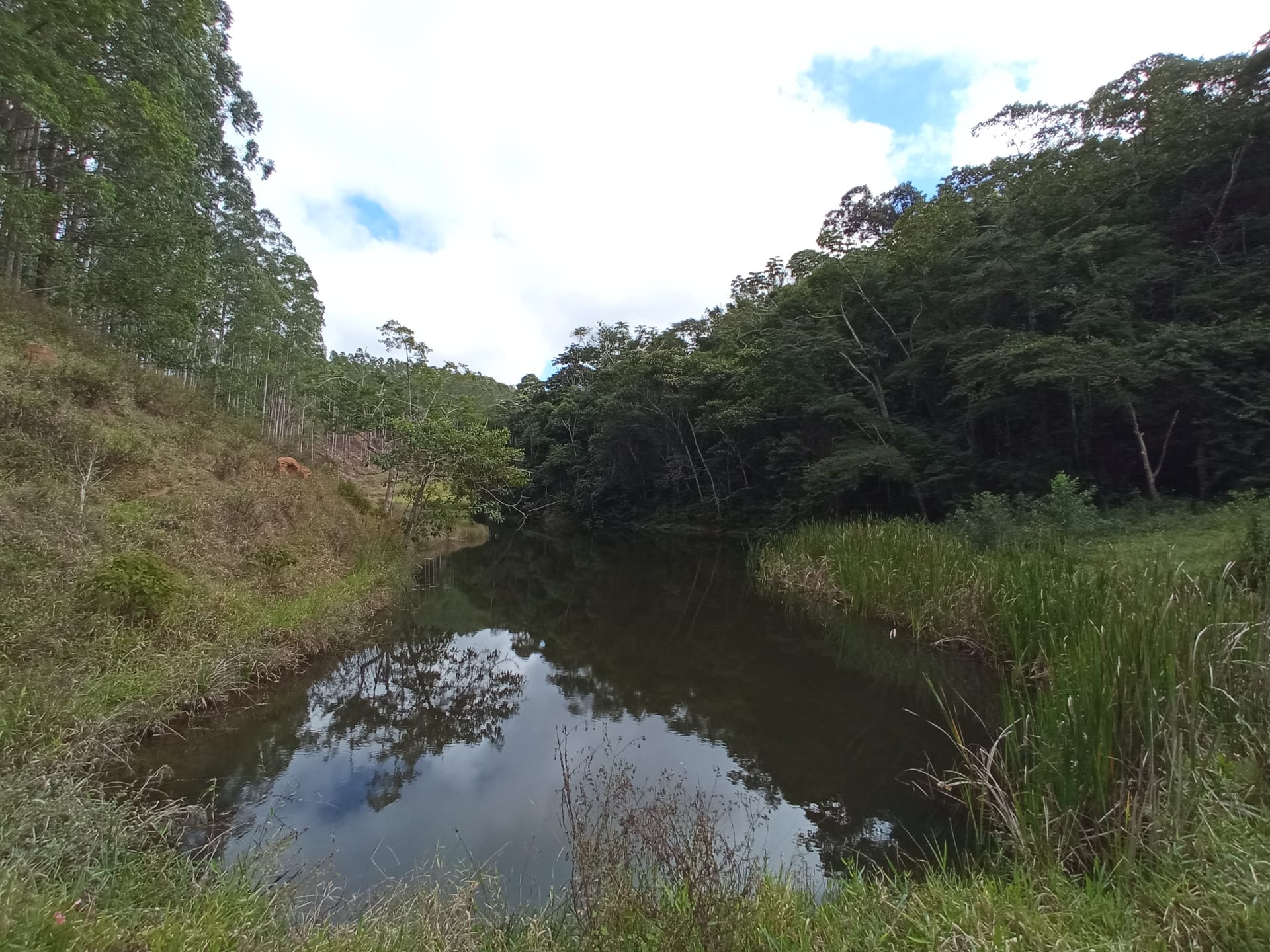 Fazenda à venda 107M², ZONA RURAL, SILVEIRÂNIA - MG - foto 23