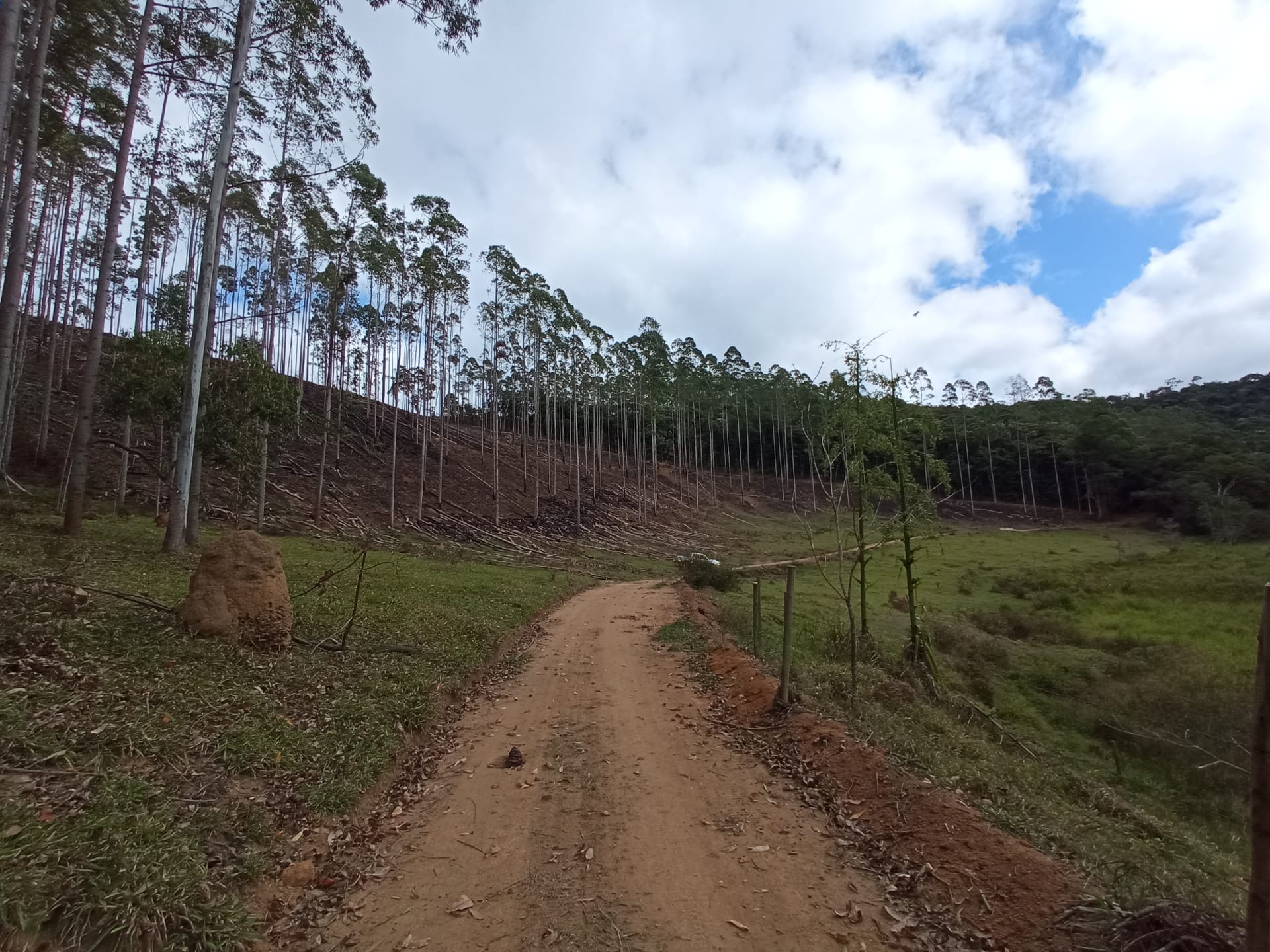 Fazenda à venda 107M², ZONA RURAL, SILVEIRÂNIA - MG - foto 32