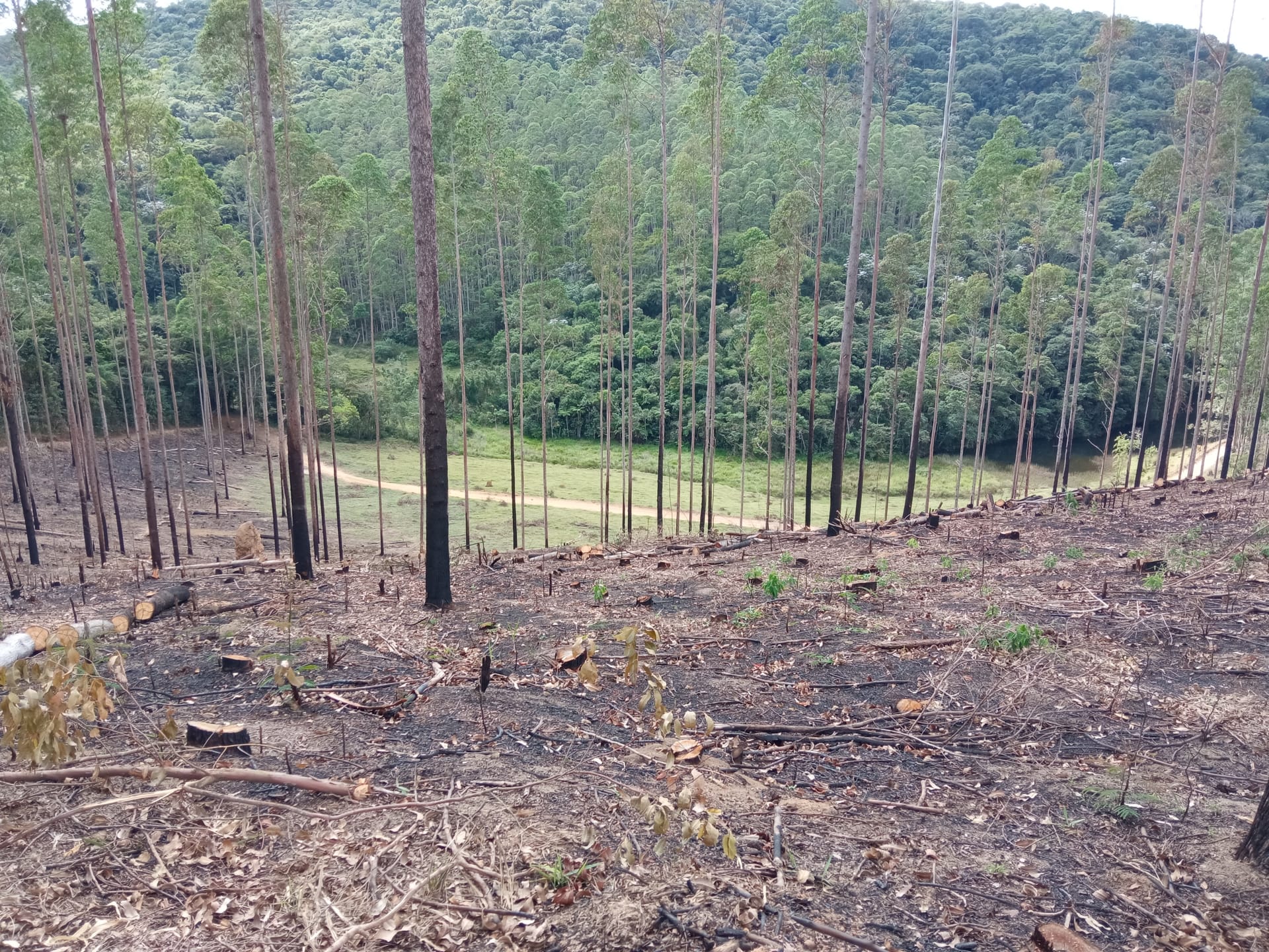 Fazenda à venda 107M², ZONA RURAL, SILVEIRÂNIA - MG - foto 41