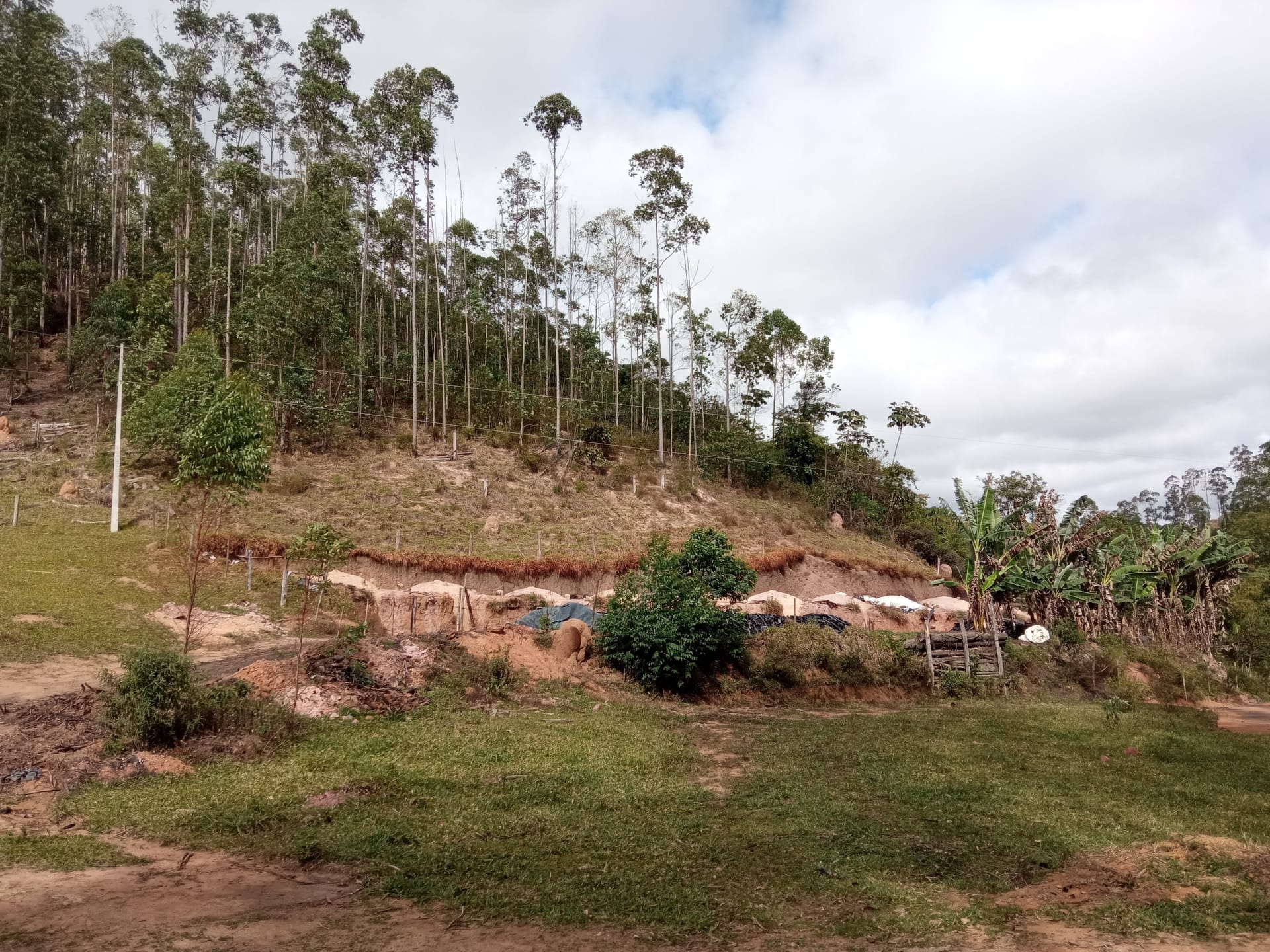 Fazenda à venda 107M², ZONA RURAL, SILVEIRÂNIA - MG - foto 8