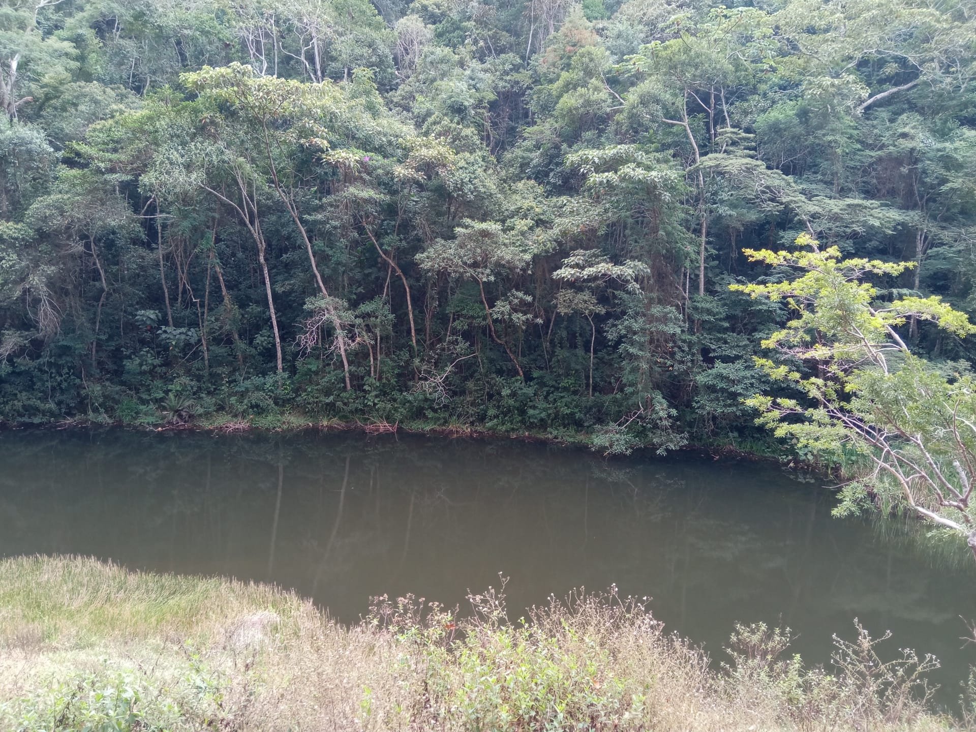 Fazenda à venda 107M², ZONA RURAL, SILVEIRÂNIA - MG - foto 29
