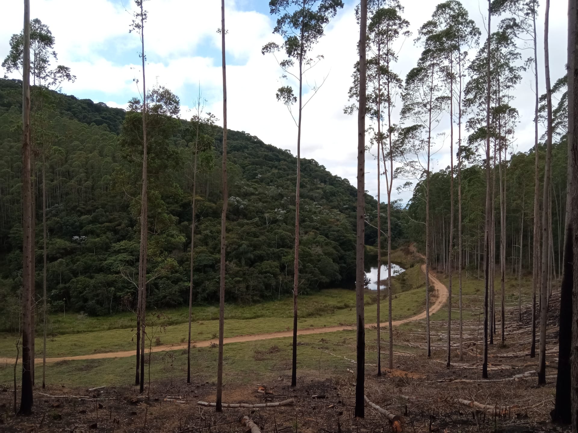 Fazenda à venda 107M², ZONA RURAL, SILVEIRÂNIA - MG - foto 36