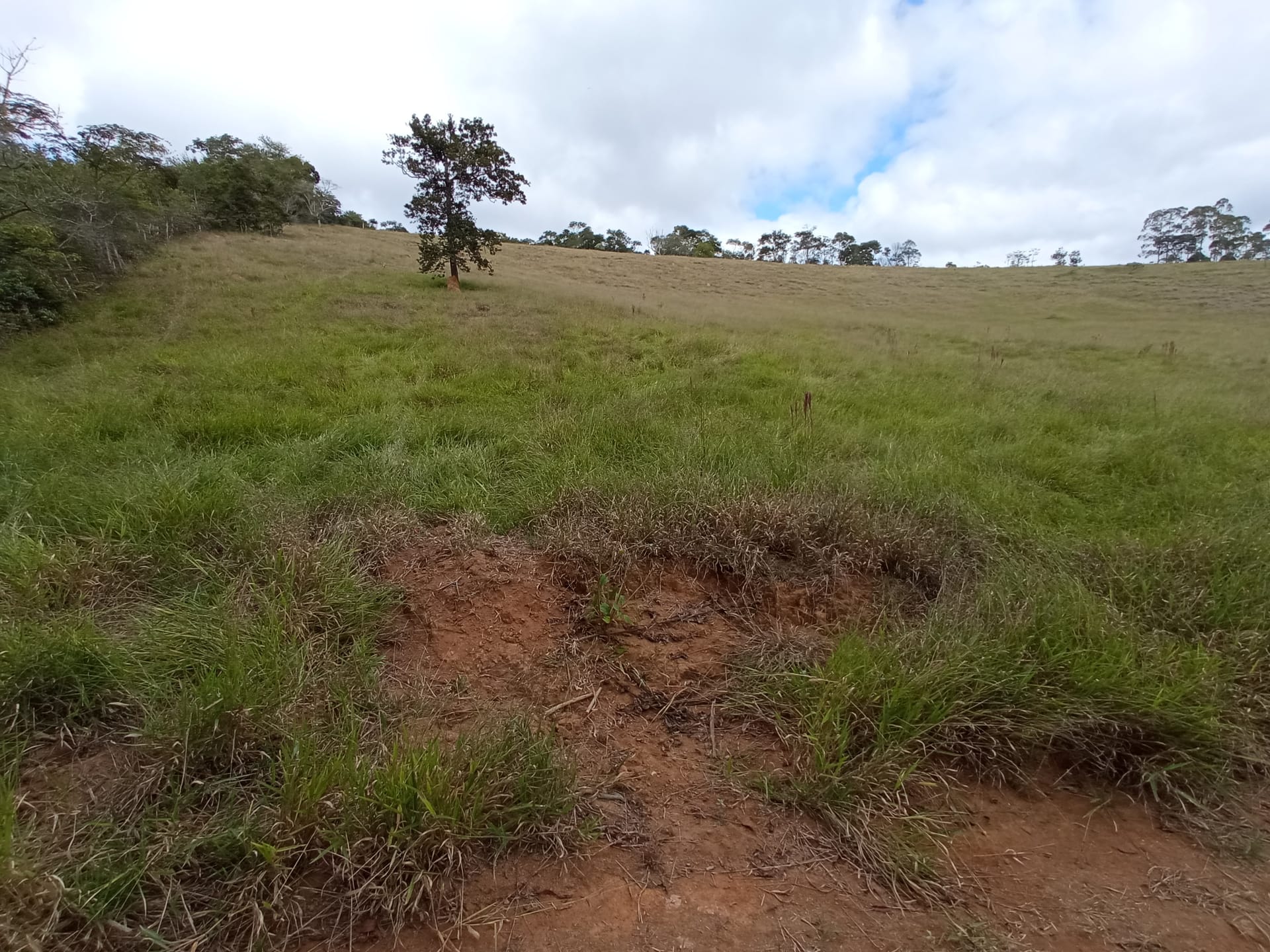 Fazenda à venda 107M², ZONA RURAL, SILVEIRÂNIA - MG - foto 52
