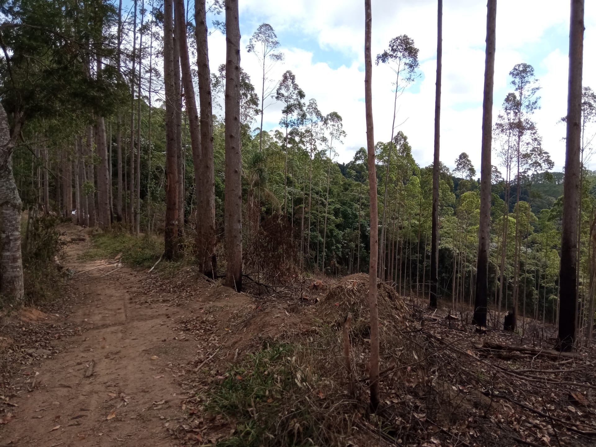 Fazenda à venda 107M², ZONA RURAL, SILVEIRÂNIA - MG - foto 44