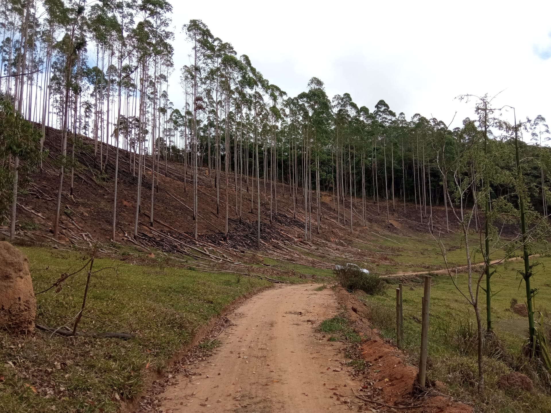 Fazenda à venda 107M², ZONA RURAL, SILVEIRÂNIA - MG - foto 33