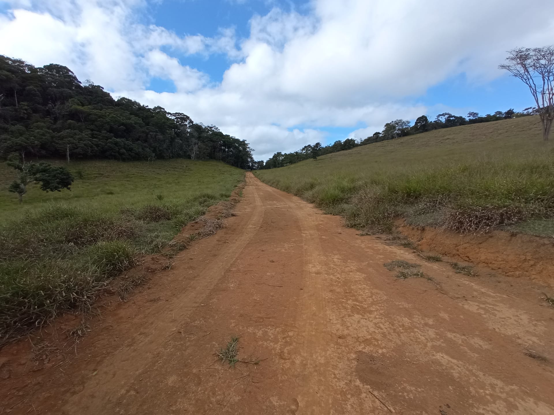 Fazenda à venda 107M², ZONA RURAL, SILVEIRÂNIA - MG - foto 56