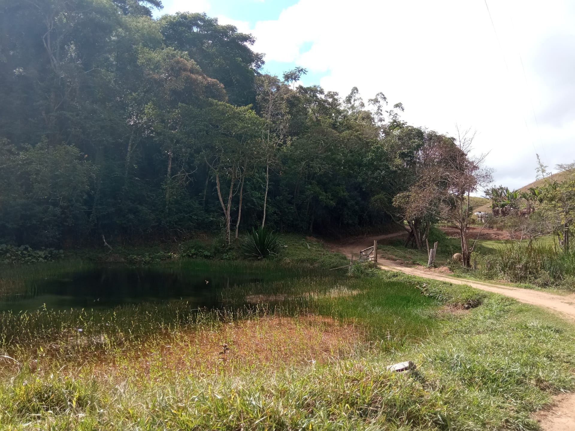 Fazenda à venda 107M², ZONA RURAL, SILVEIRÂNIA - MG - foto 11