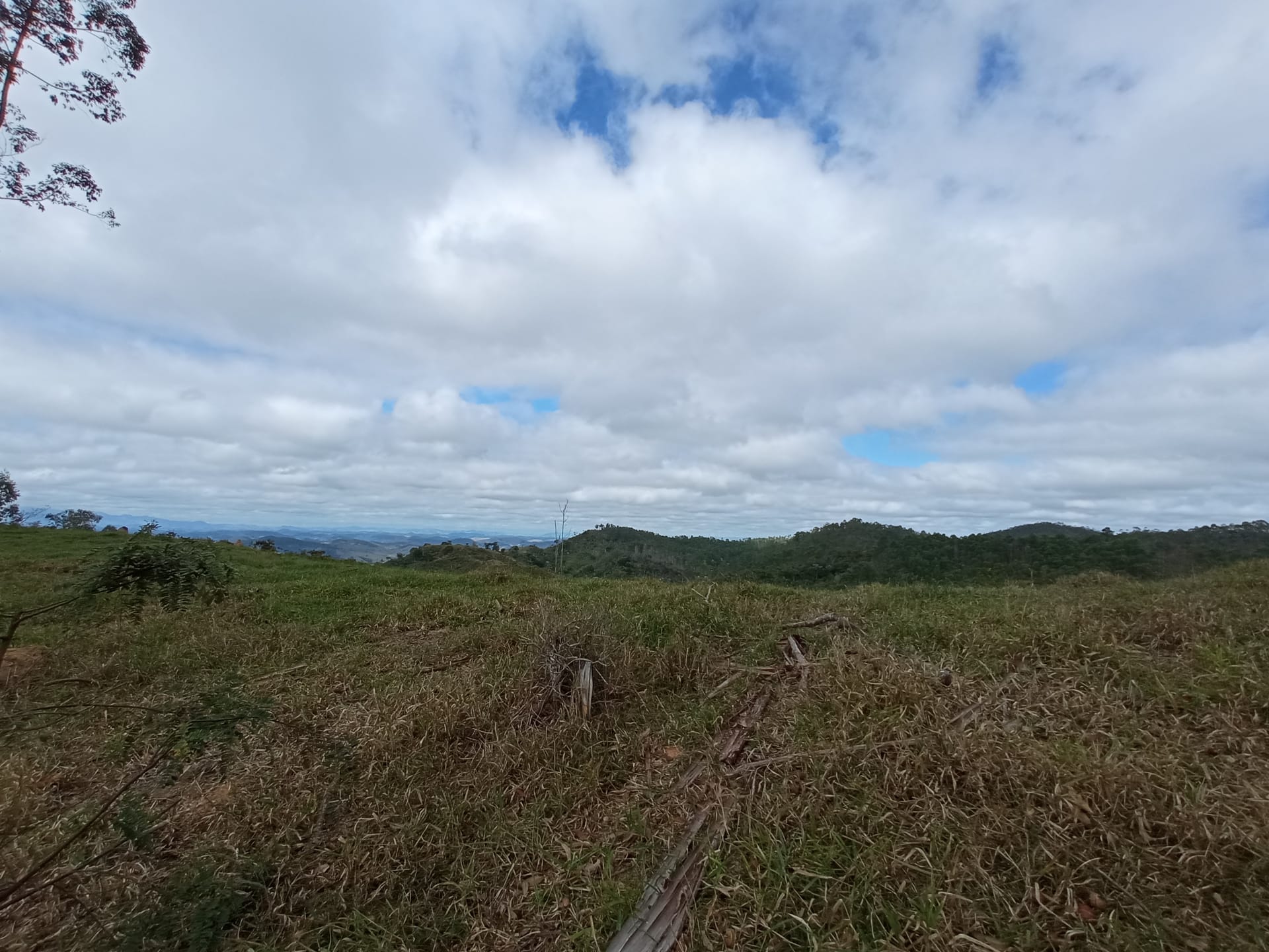 Fazenda à venda 107M², ZONA RURAL, SILVEIRÂNIA - MG - foto 38