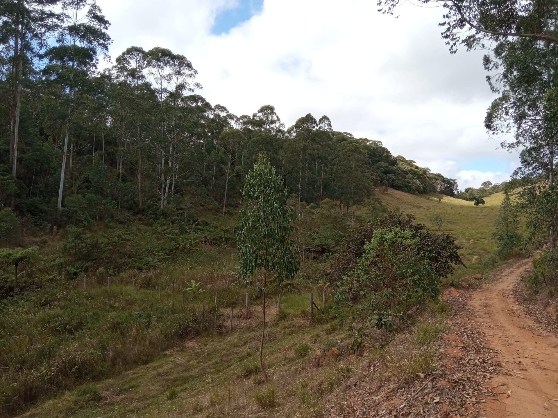 Fazenda à venda 107M², ZONA RURAL, SILVEIRÂNIA - MG - foto 62