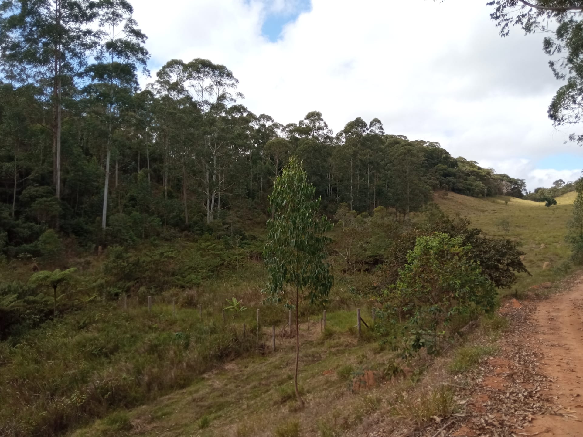 Fazenda à venda 107M², ZONA RURAL, SILVEIRÂNIA - MG - foto 64