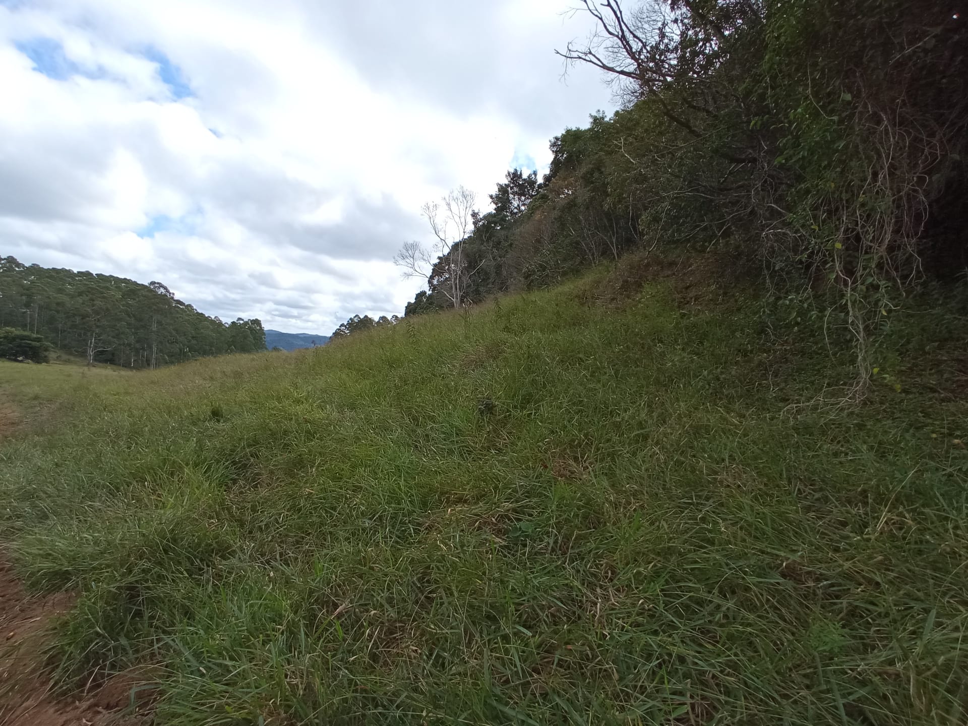Fazenda à venda 107M², ZONA RURAL, SILVEIRÂNIA - MG - foto 53
