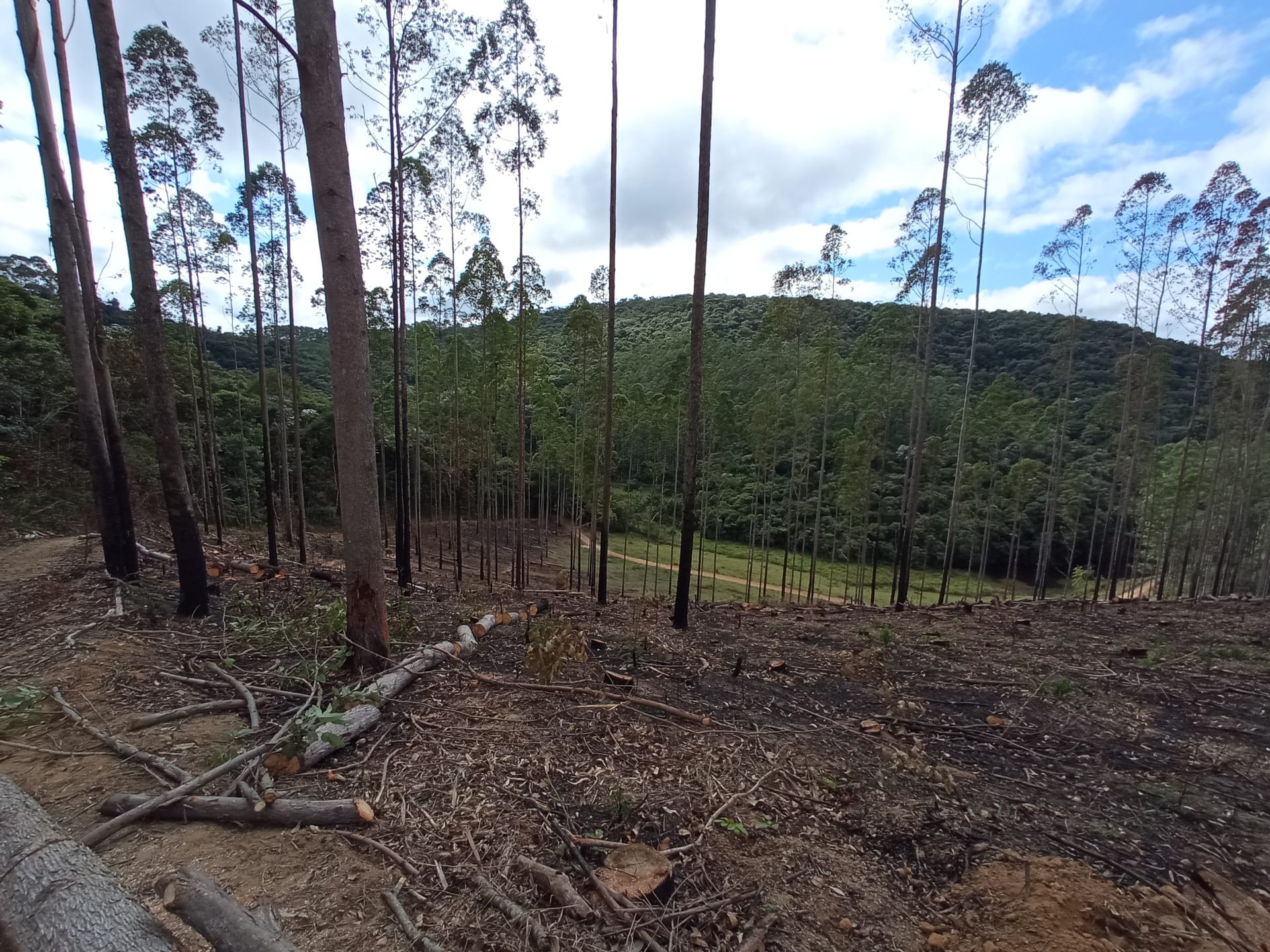 Fazenda à venda 107M², ZONA RURAL, SILVEIRÂNIA - MG - foto 43