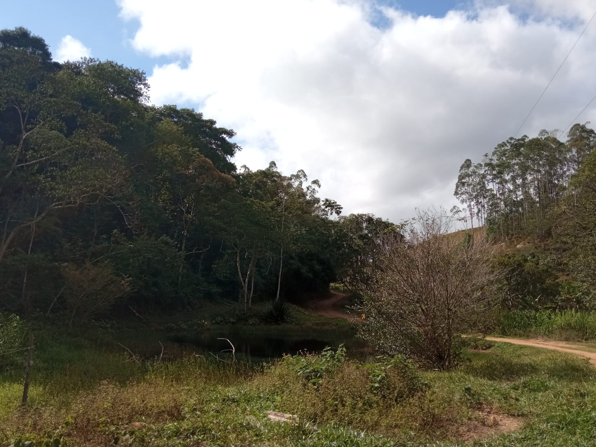 Fazenda à venda 107M², ZONA RURAL, SILVEIRÂNIA - MG - foto 10