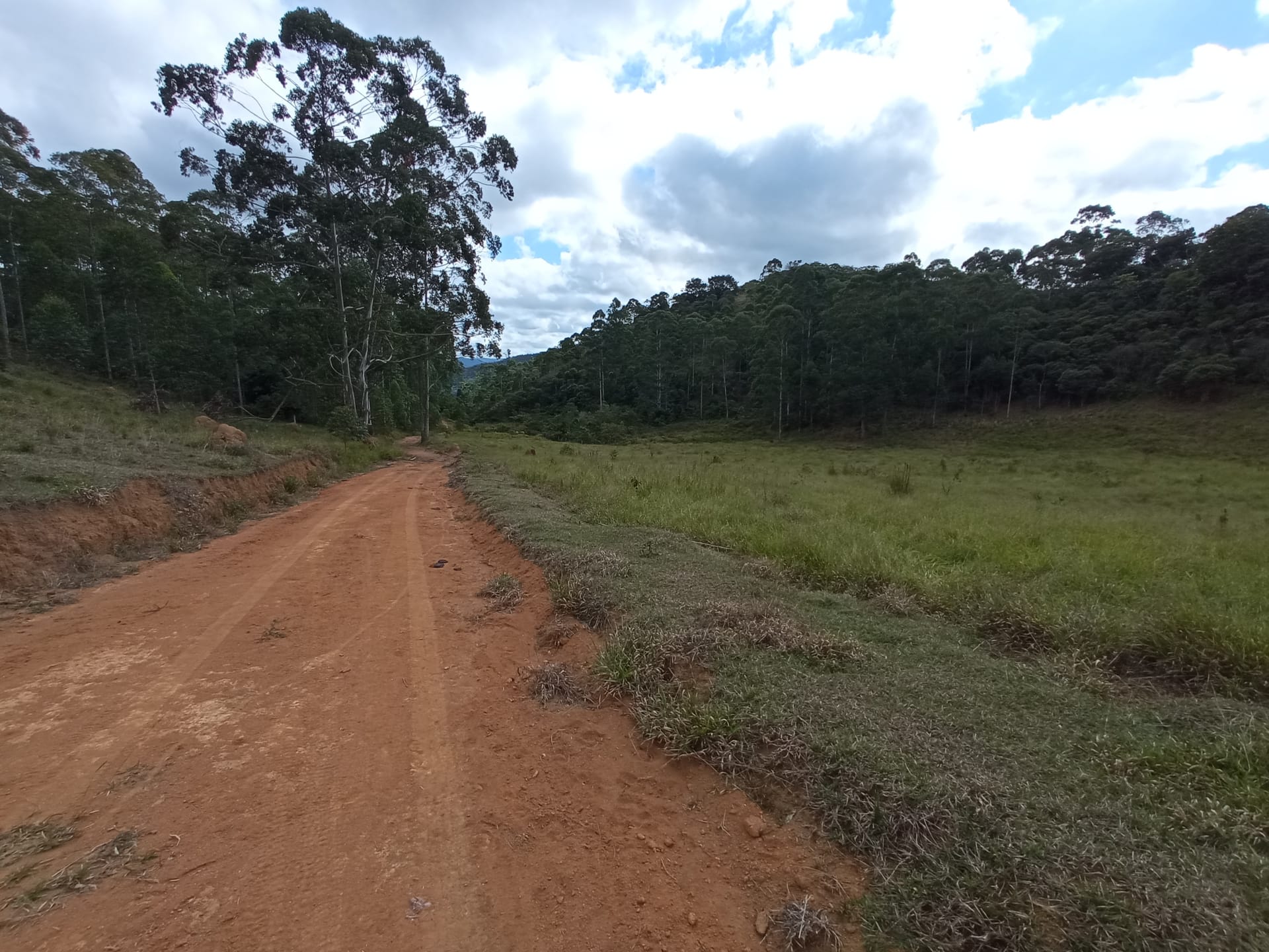 Fazenda à venda 107M², ZONA RURAL, SILVEIRÂNIA - MG - foto 58