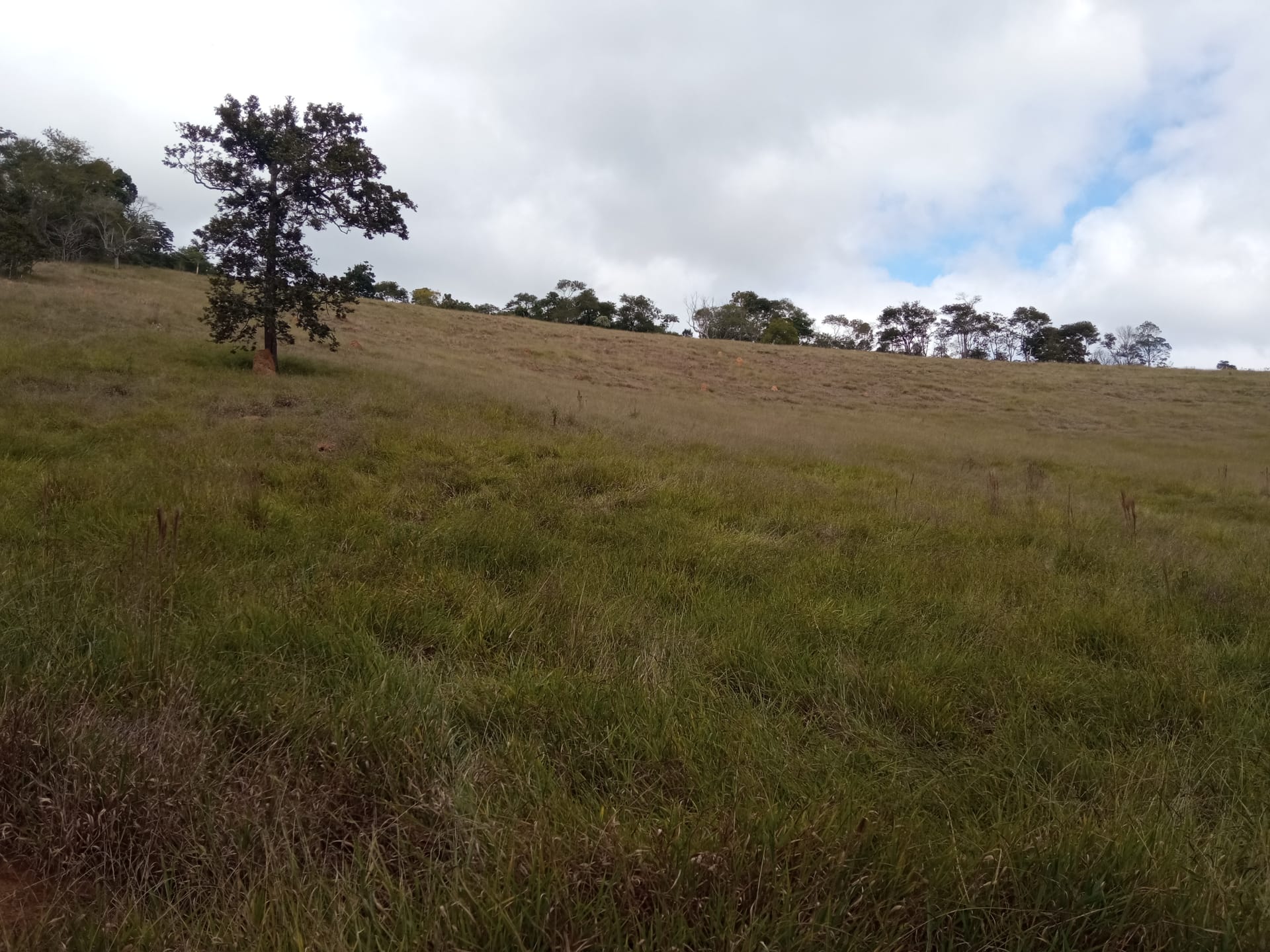 Fazenda à venda 107M², ZONA RURAL, SILVEIRÂNIA - MG - foto 51