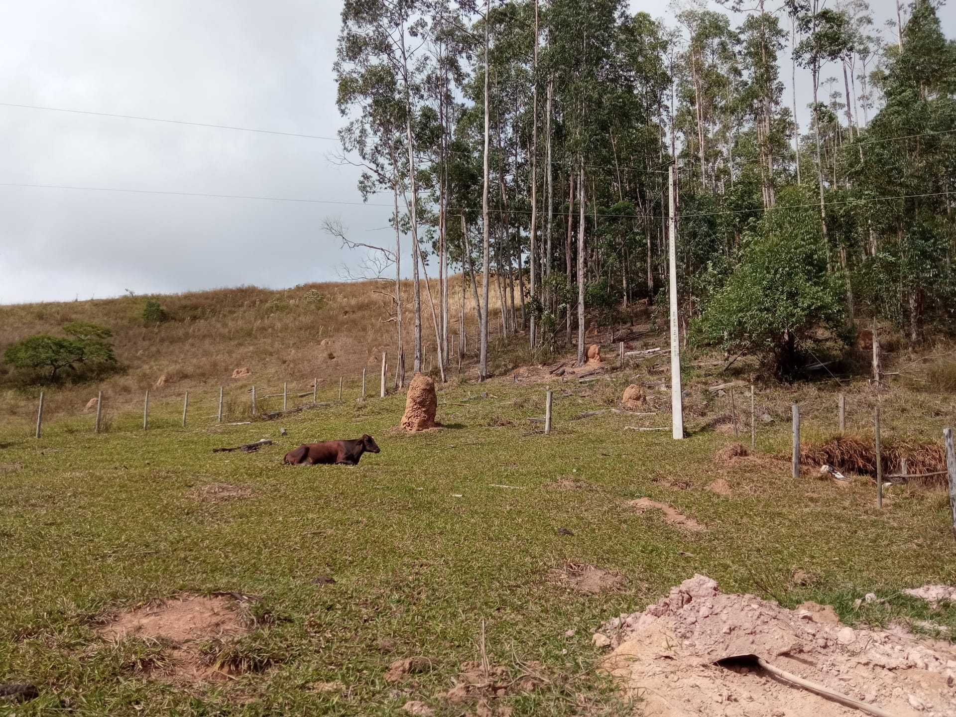 Fazenda à venda 107M², ZONA RURAL, SILVEIRÂNIA - MG - foto 7