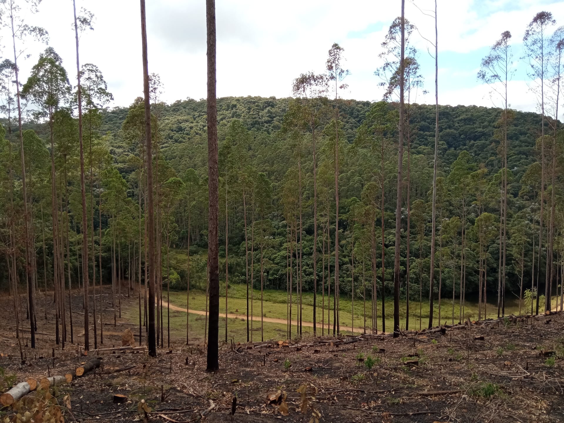 Fazenda à venda 107M², ZONA RURAL, SILVEIRÂNIA - MG - foto 42