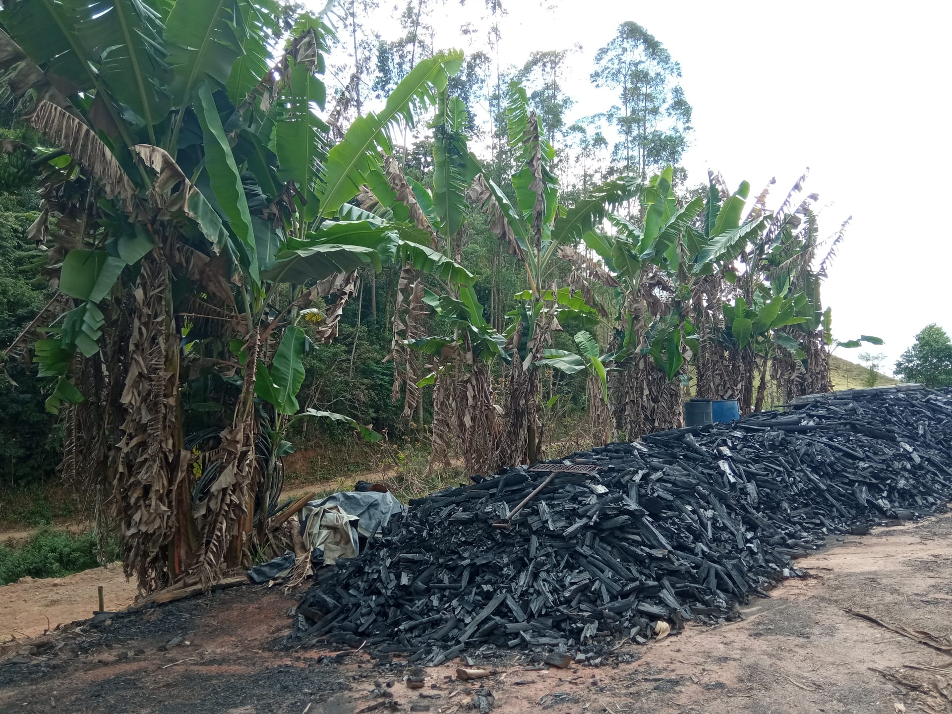 Fazenda à venda 107M², ZONA RURAL, SILVEIRÂNIA - MG - foto 3