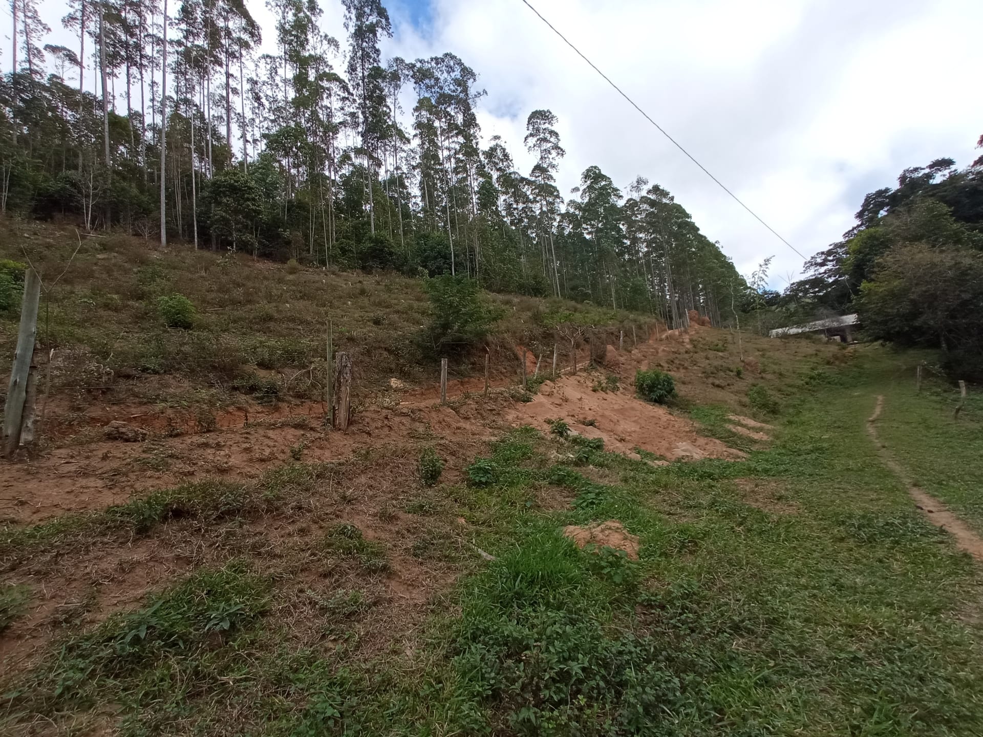 Fazenda à venda 107M², ZONA RURAL, SILVEIRÂNIA - MG - foto 16
