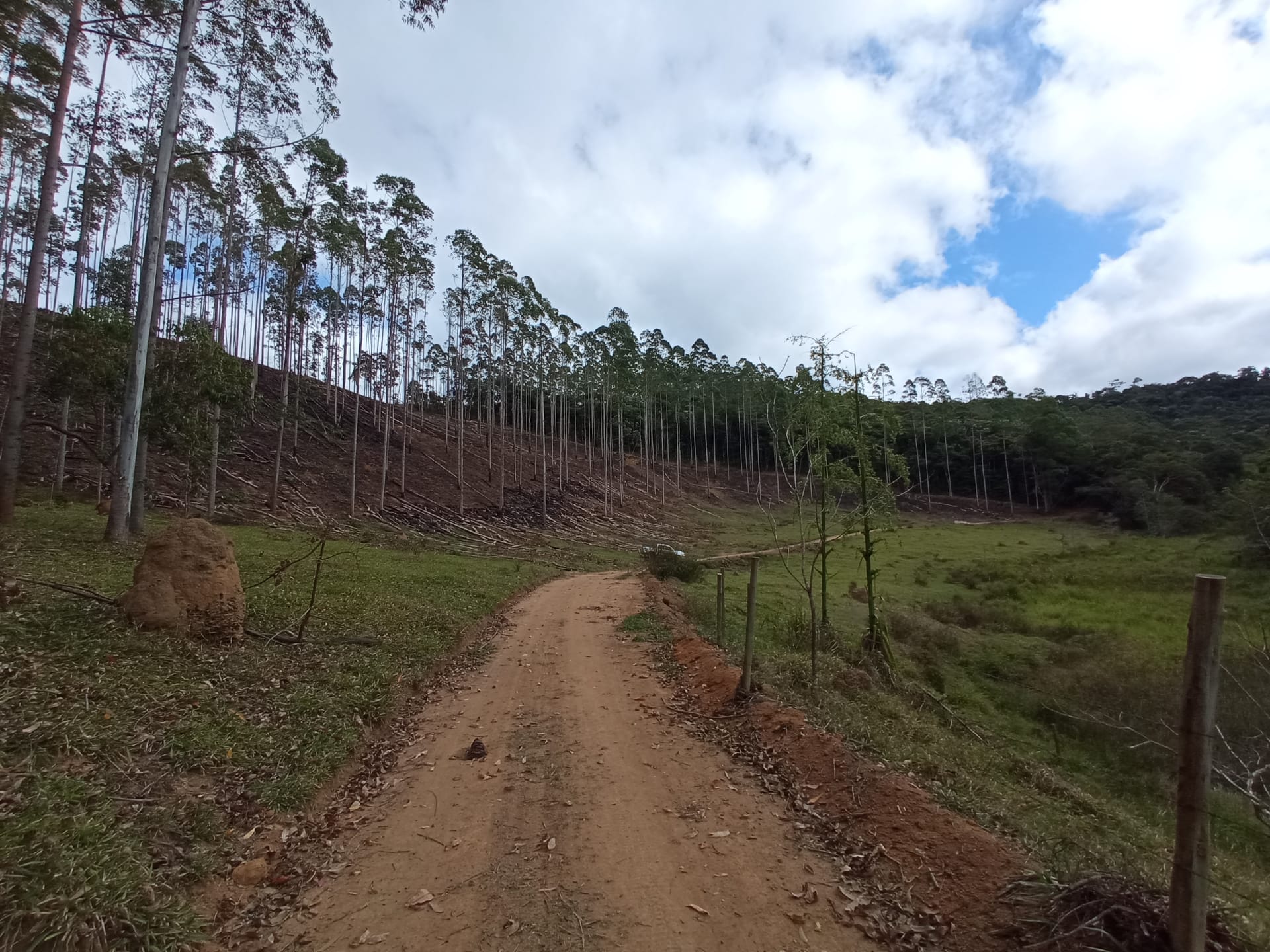 Fazenda à venda 107M², ZONA RURAL, SILVEIRÂNIA - MG - foto 31