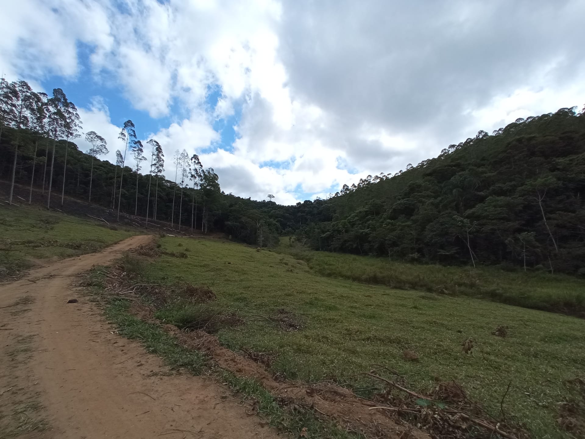 Fazenda à venda 107M², ZONA RURAL, SILVEIRÂNIA - MG - foto 35