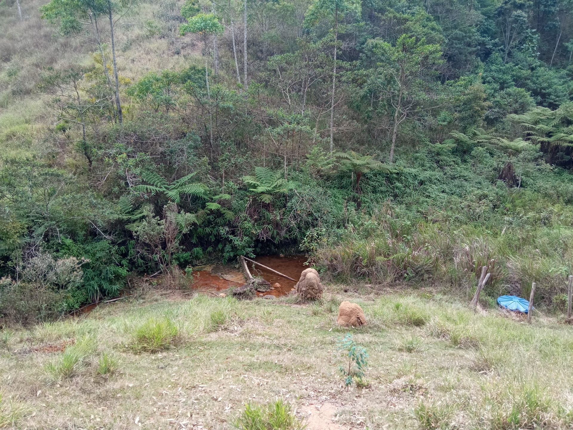 Fazenda à venda 107M², ZONA RURAL, SILVEIRÂNIA - MG - foto 63