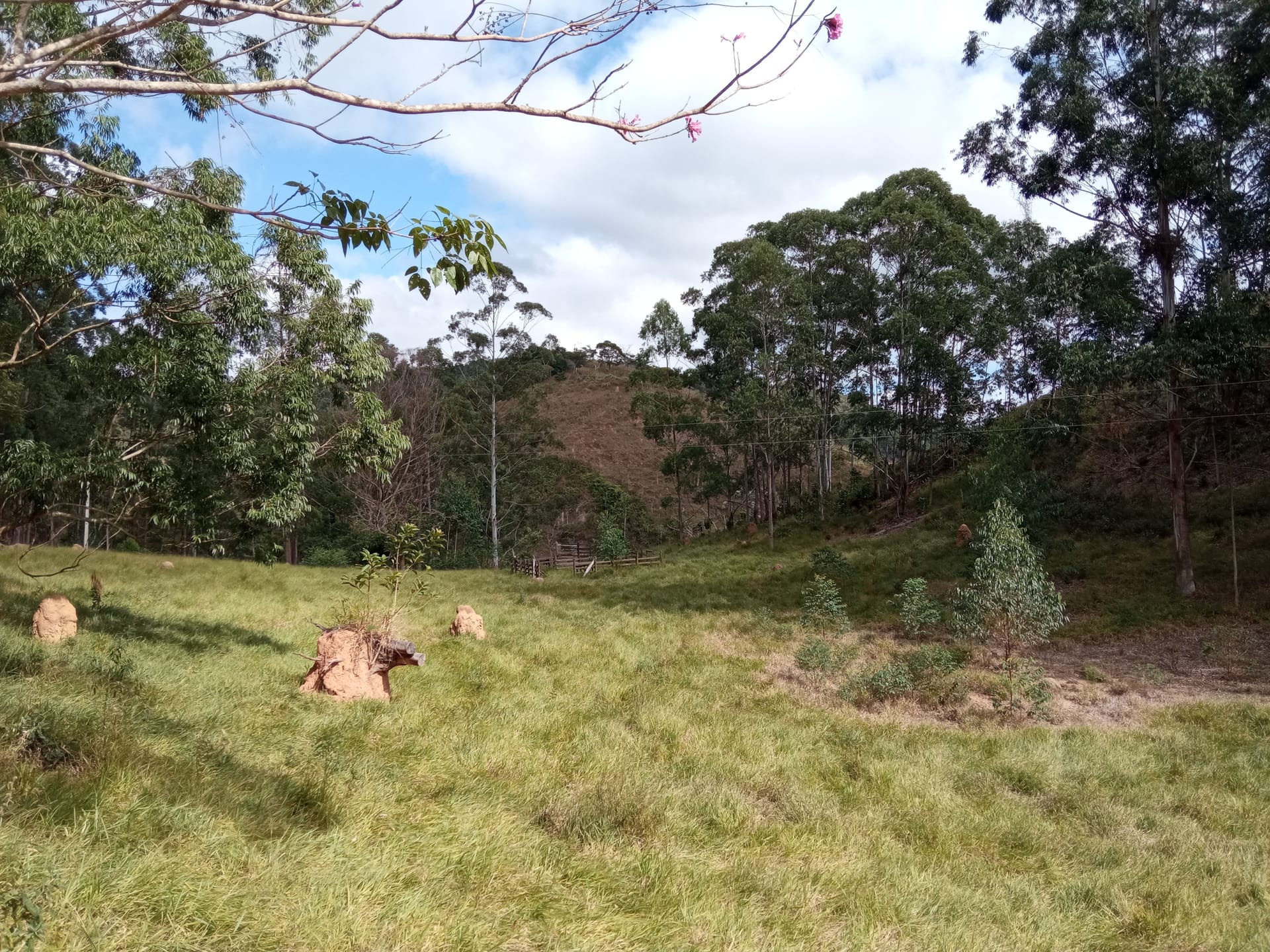 Fazenda à venda 107M², ZONA RURAL, SILVEIRÂNIA - MG - foto 65