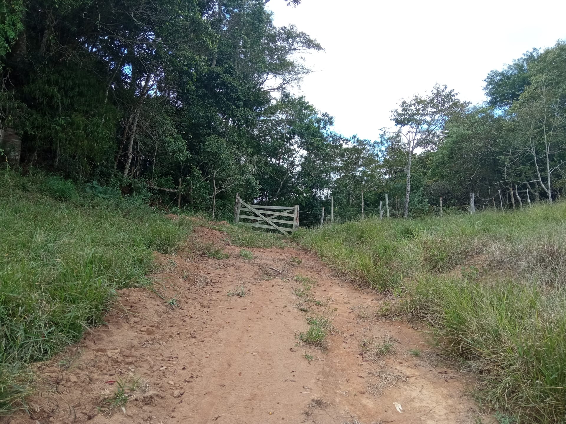 Fazenda à venda 107M², ZONA RURAL, SILVEIRÂNIA - MG - foto 50