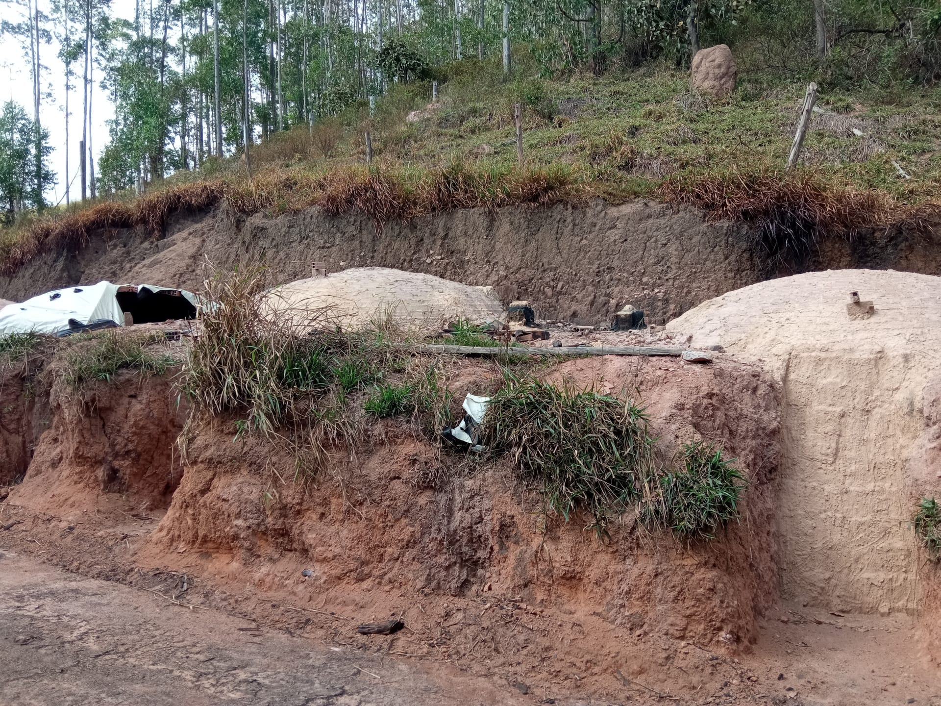 Fazenda à venda 107M², ZONA RURAL, SILVEIRÂNIA - MG - foto 6