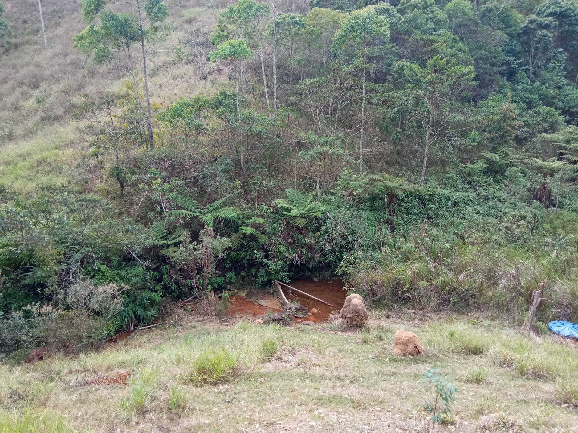 Fazenda à venda 107M², ZONA RURAL, SILVEIRÂNIA - MG - foto 60
