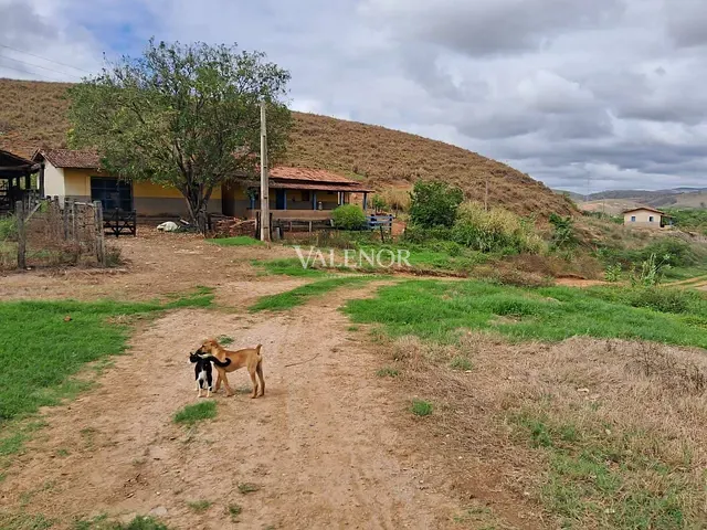 Fazenda com 1863400m², à venda, no bairro Vila Mariana em Governador Valadares