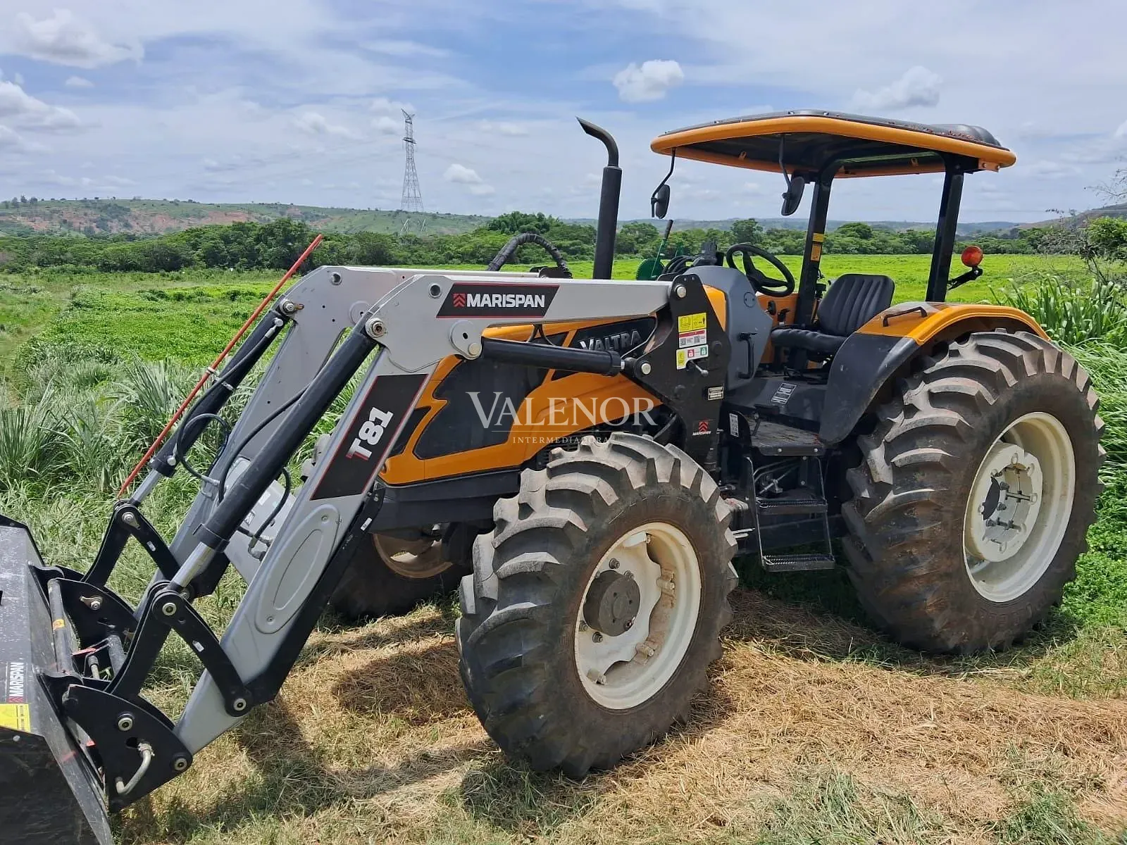 Fazenda, 186 hectares - Foto 40