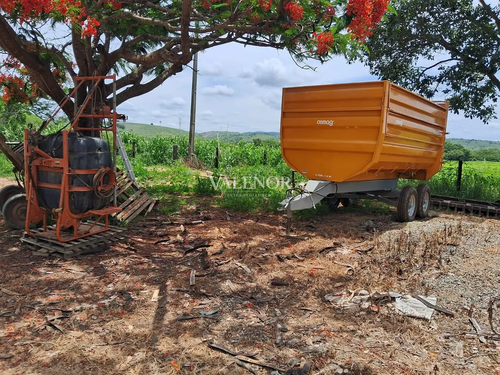 Fazenda, 186 hectares - Foto 41