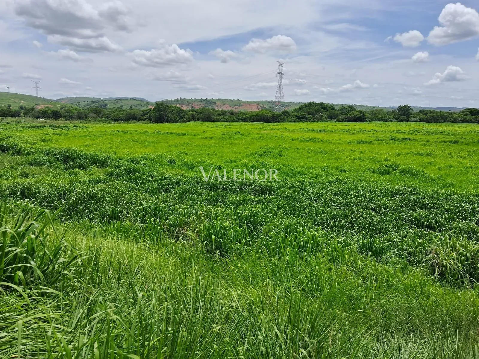 Fazenda, 186 hectares - Foto 10