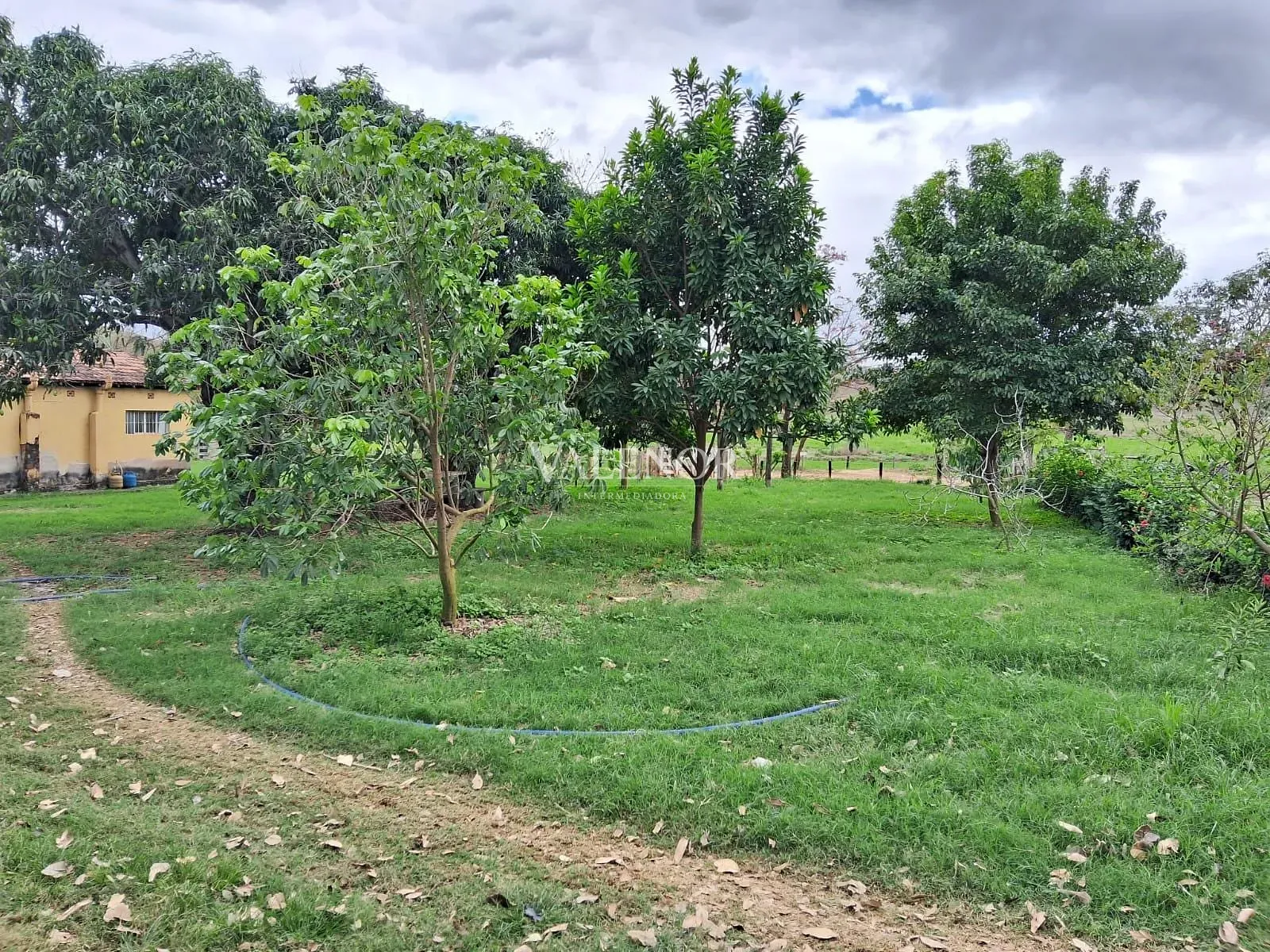 Fazenda, 186 hectares - Foto 12