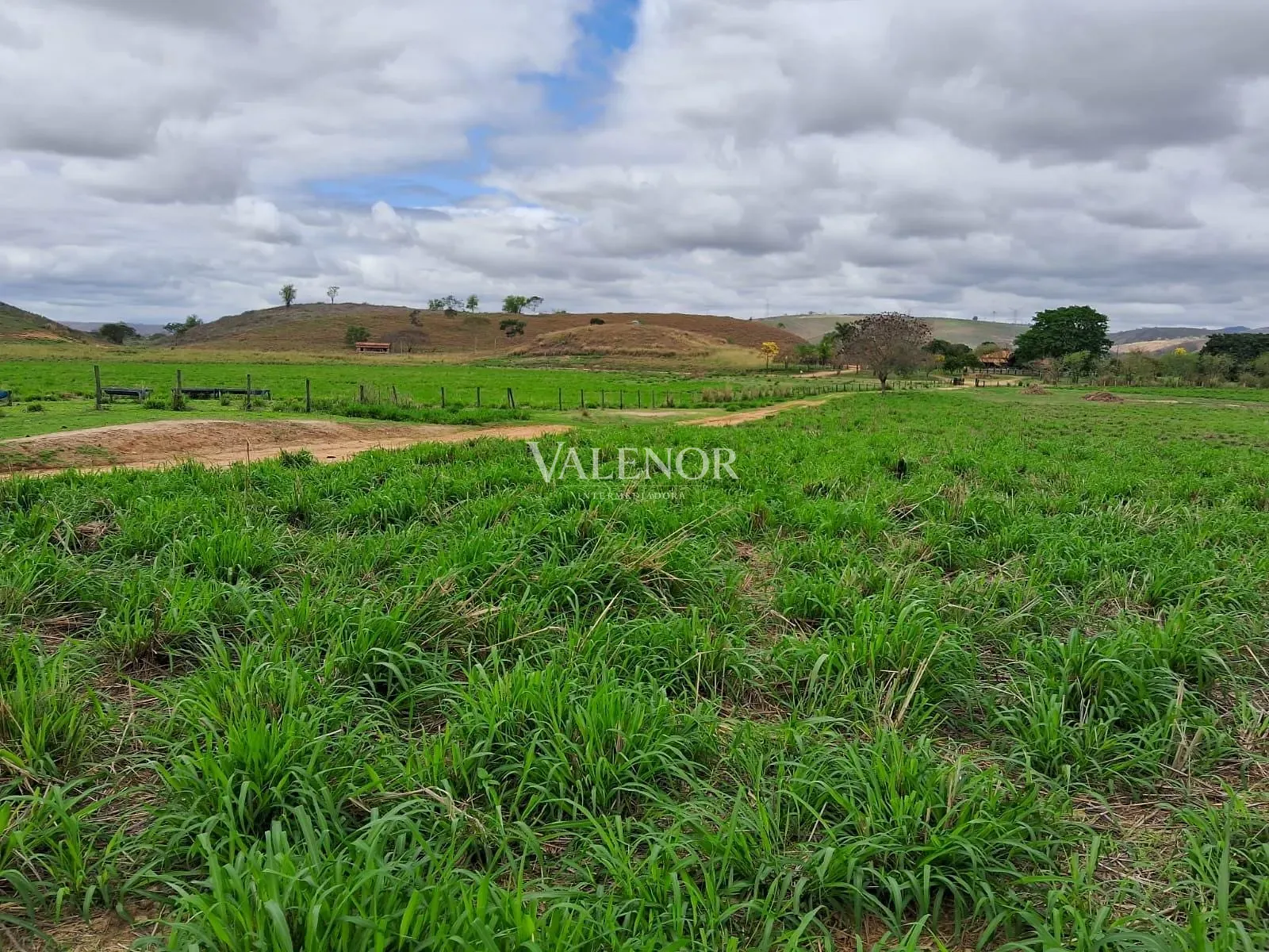 Fazenda, 186 hectares - Foto 11