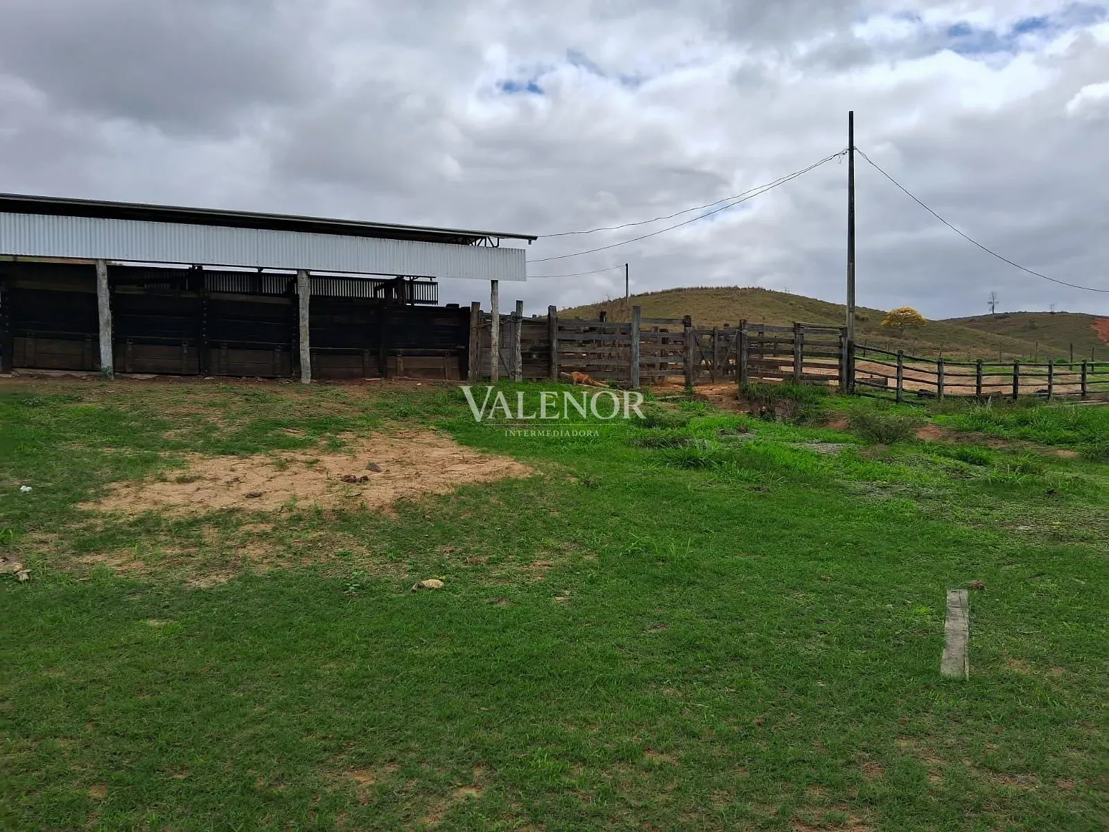 Fazenda, 186 hectares - Foto 7