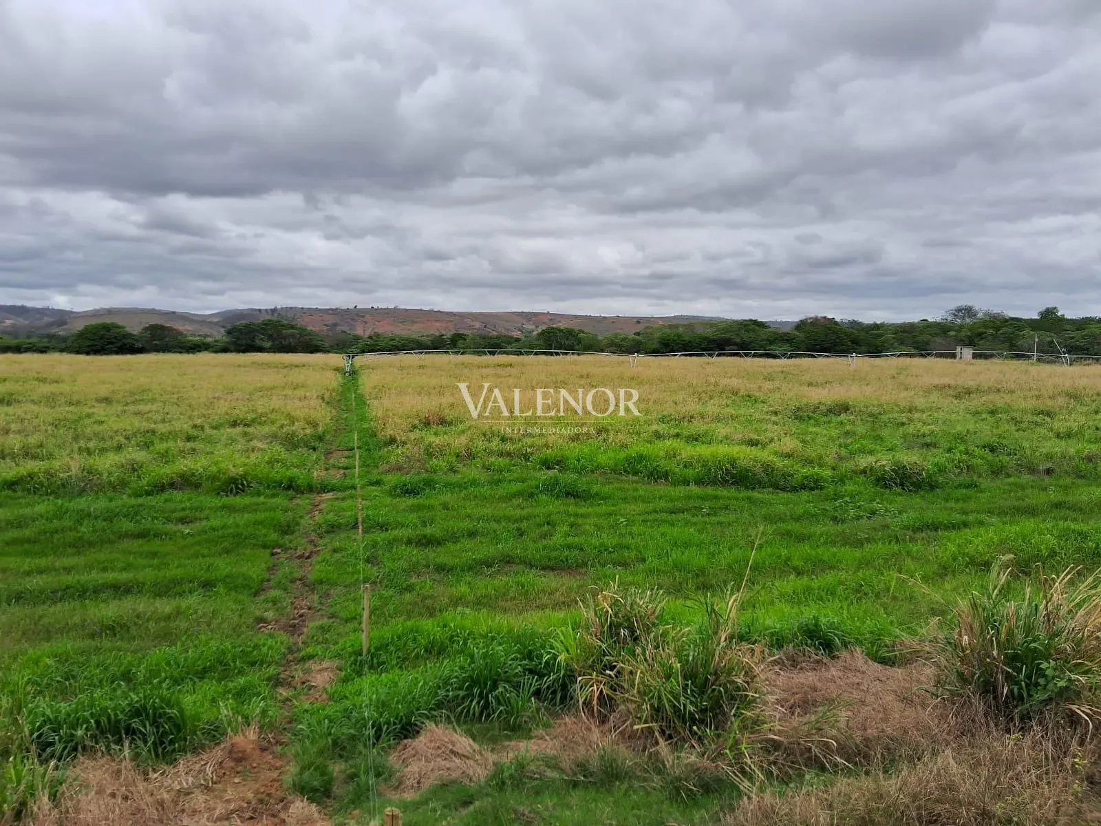 Fazenda, 186 hectares - Foto 14