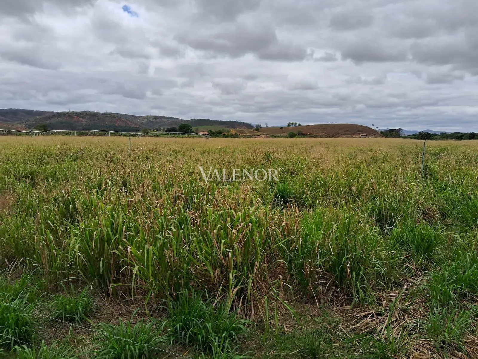 Fazenda, 186 hectares - Foto 20