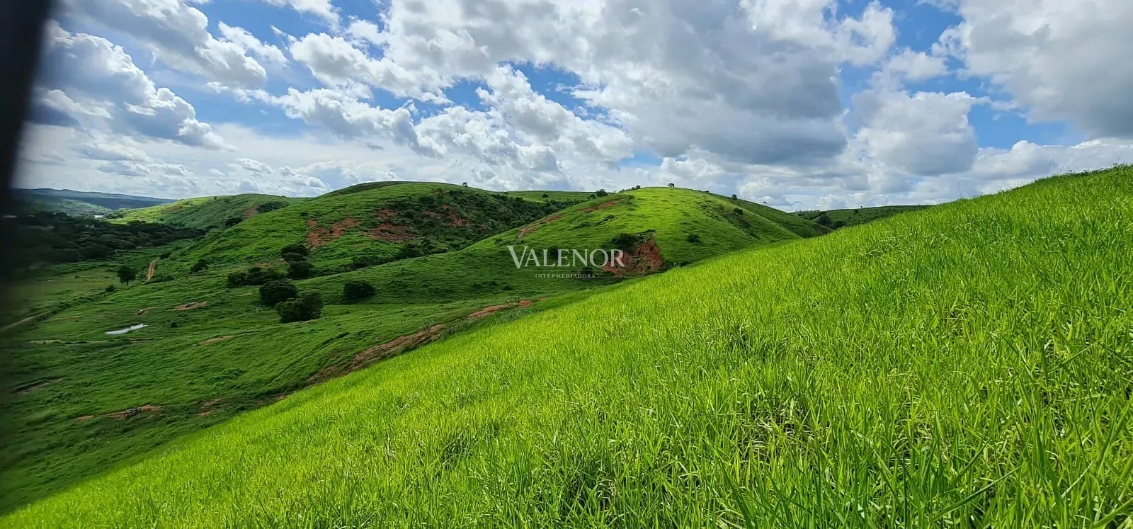 Fazenda, 186 hectares - Foto 18
