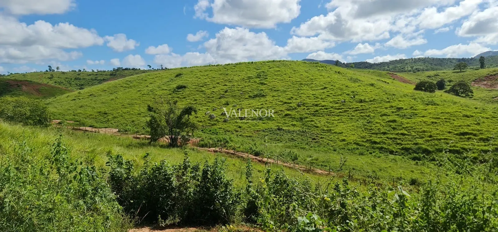 Fazenda, 186 hectares - Foto 17