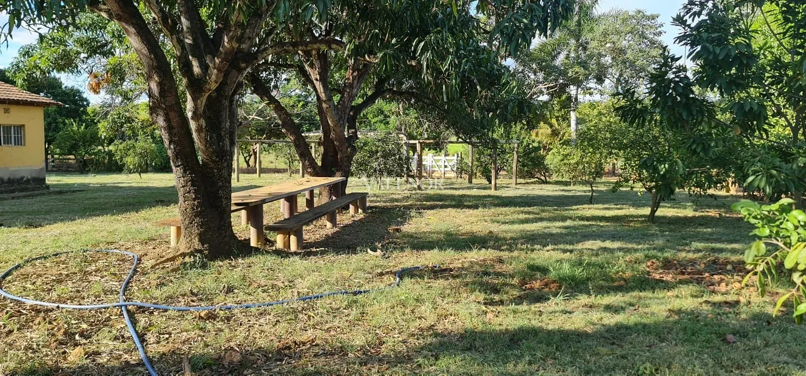 Fazenda, 186 hectares - Foto 27