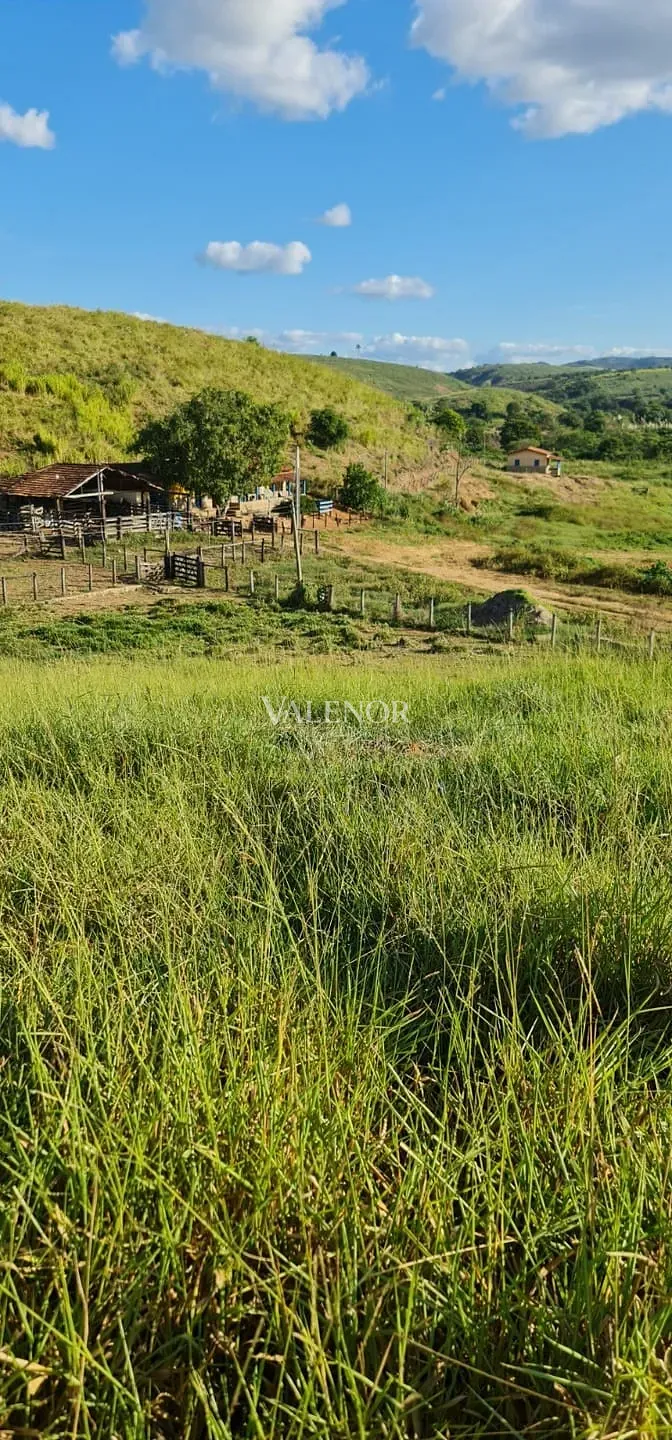 Fazenda, 186 hectares - Foto 23