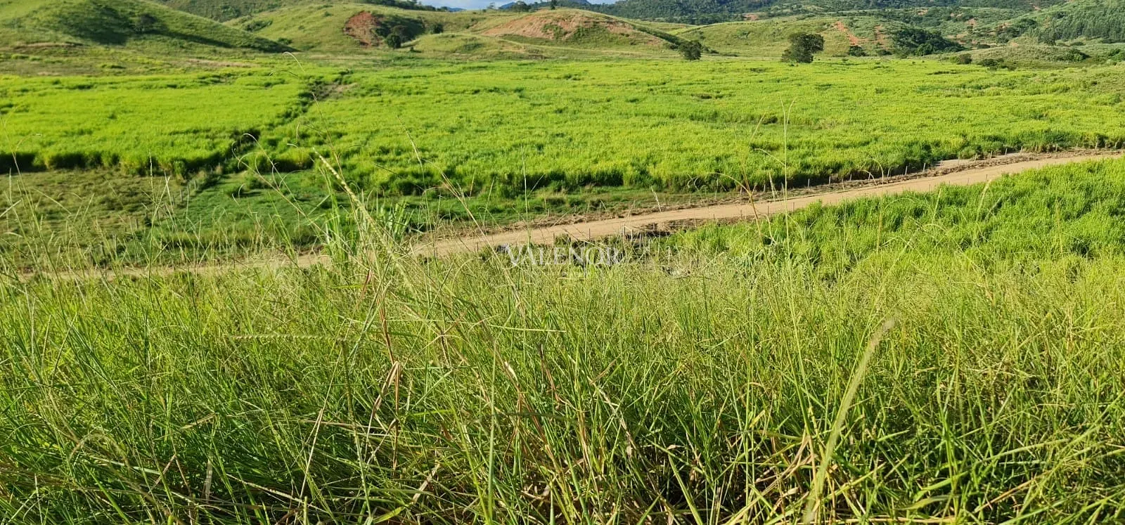 Fazenda, 186 hectares - Foto 21