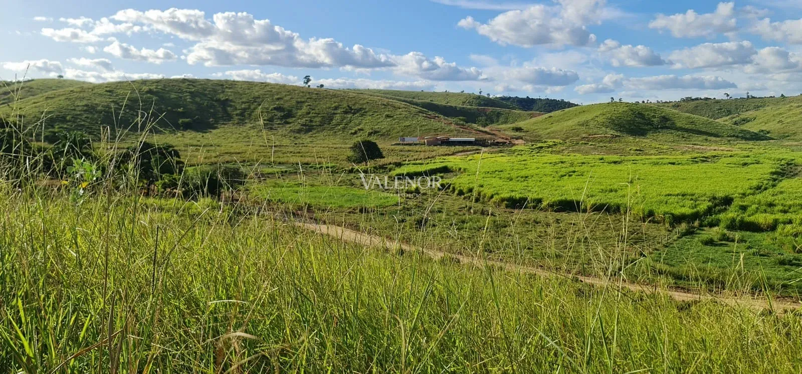 Fazenda, 186 hectares - Foto 22