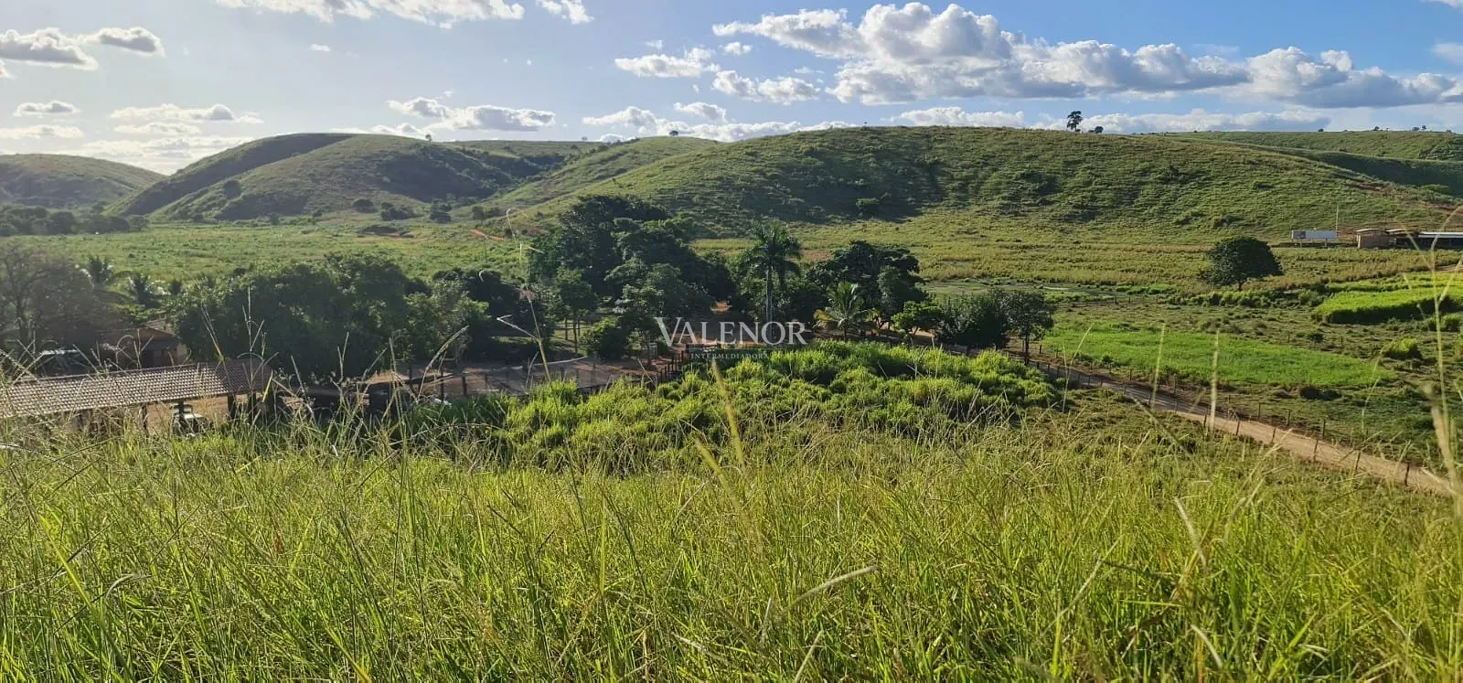 Fazenda, 186 hectares - Foto 30
