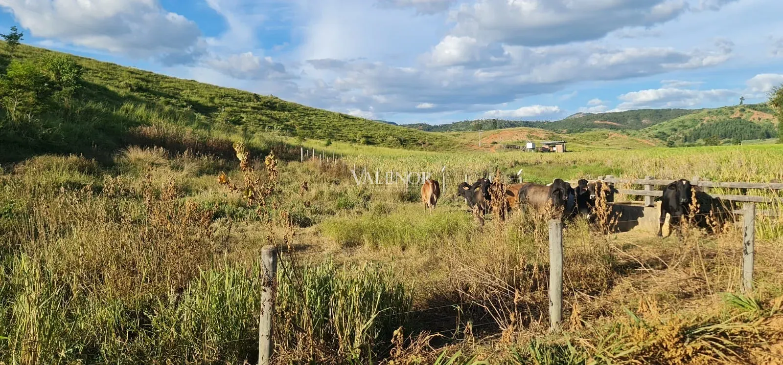 Fazenda, 186 hectares - Foto 31