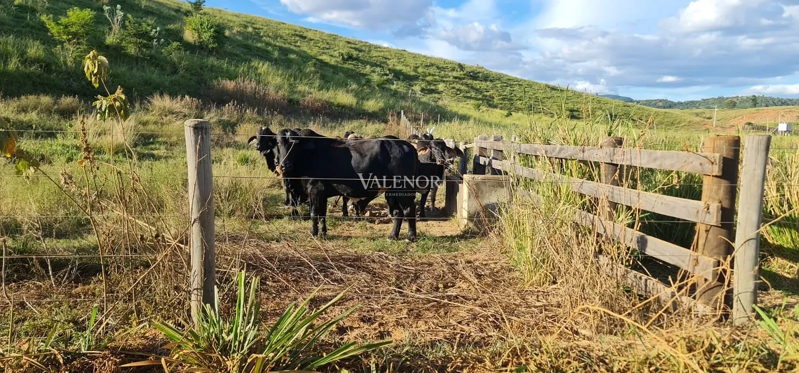 Fazenda, 186 hectares - Foto 33