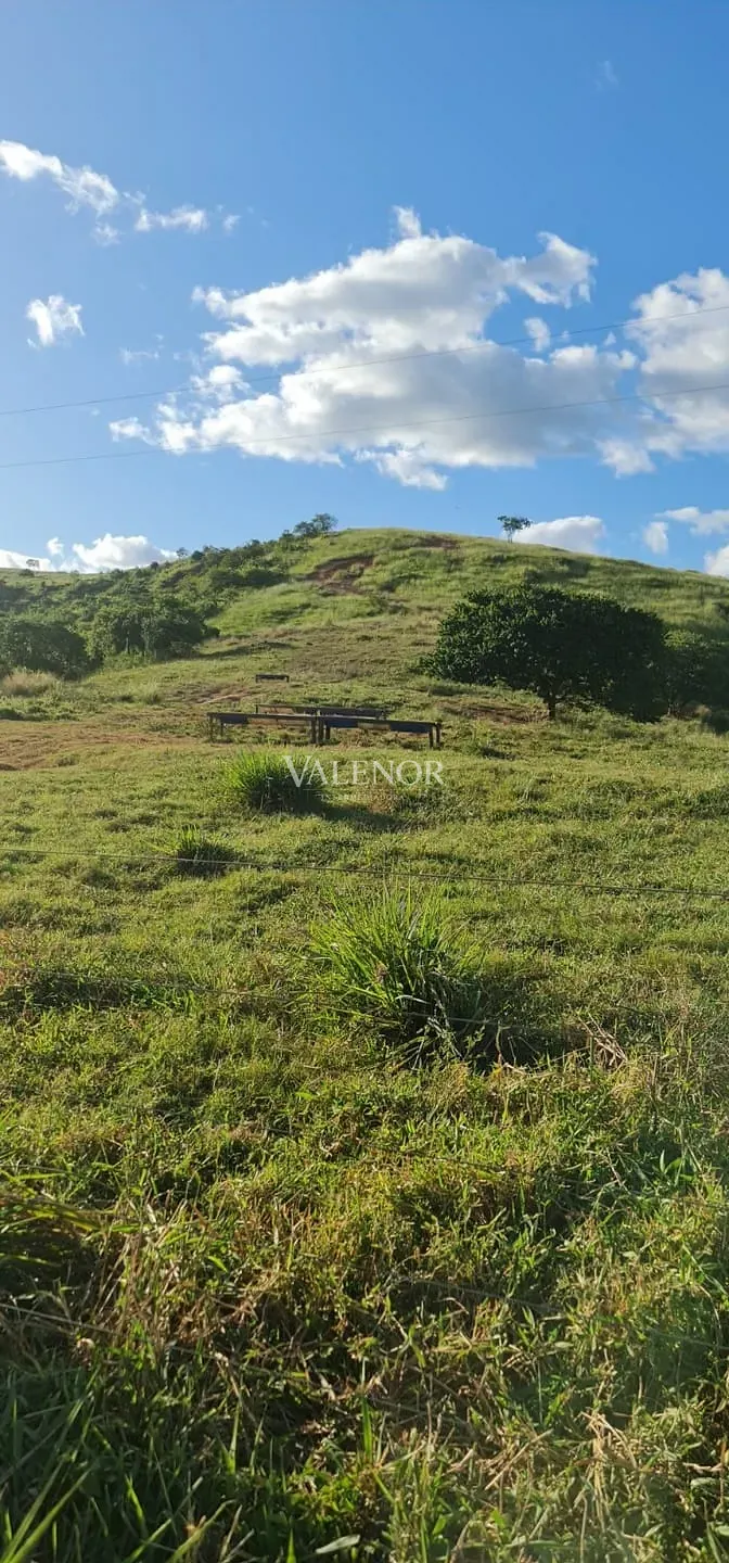 Fazenda, 186 hectares - Foto 25