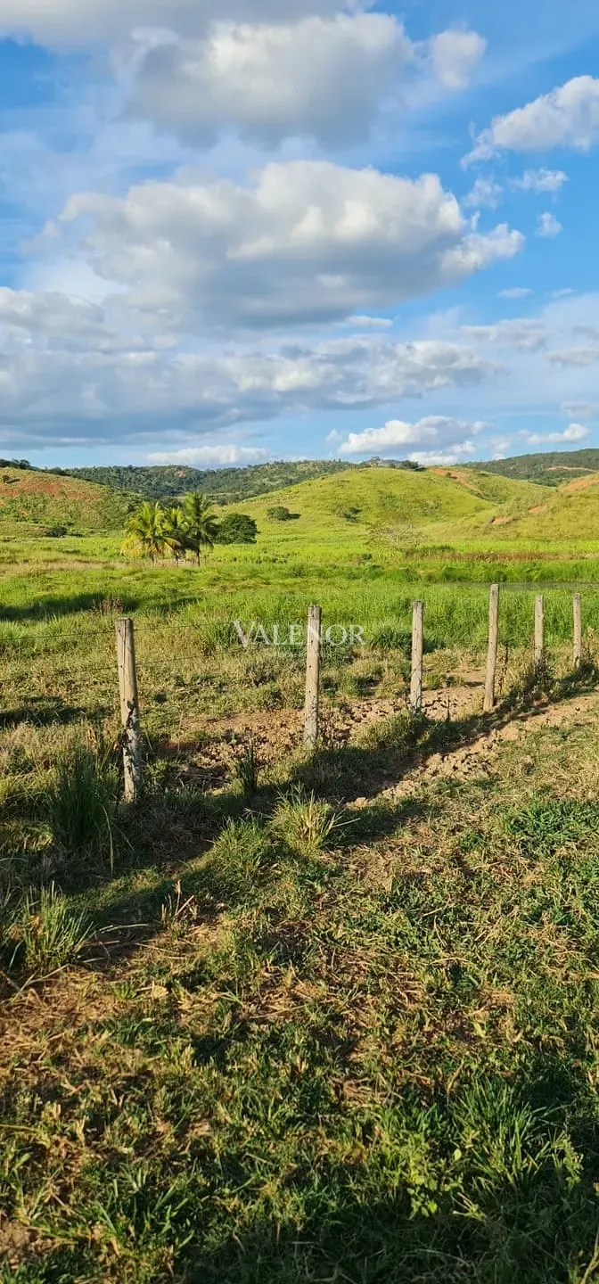 Fazenda, 186 hectares - Foto 35